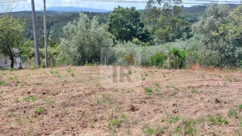 Terreno para Venda em Alvorninha