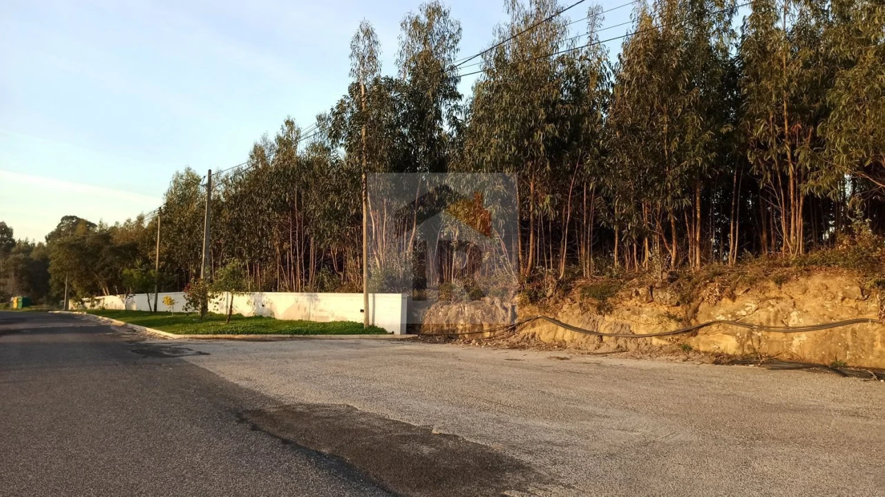 Terreno para Venda em Santa Catarina Foto 2