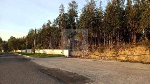 Terreno para Venda em Santa Catarina