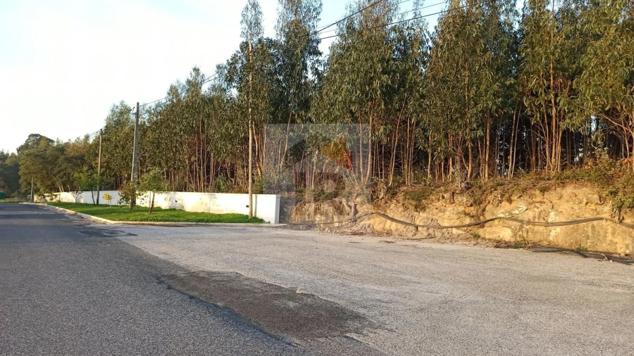 Terreno para Venda em Santa Catarina Foto 3