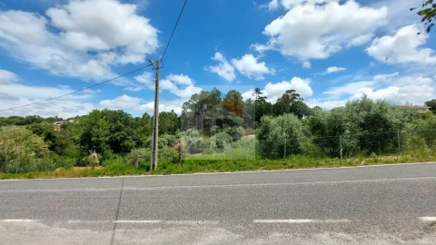 Terreno para Venda em Alvorninha