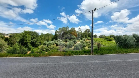 Terreno para Venda em Alvorninha