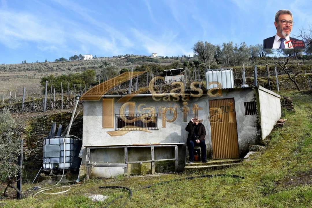 Terreno para Venda em Nogueira e Ermida Foto 1