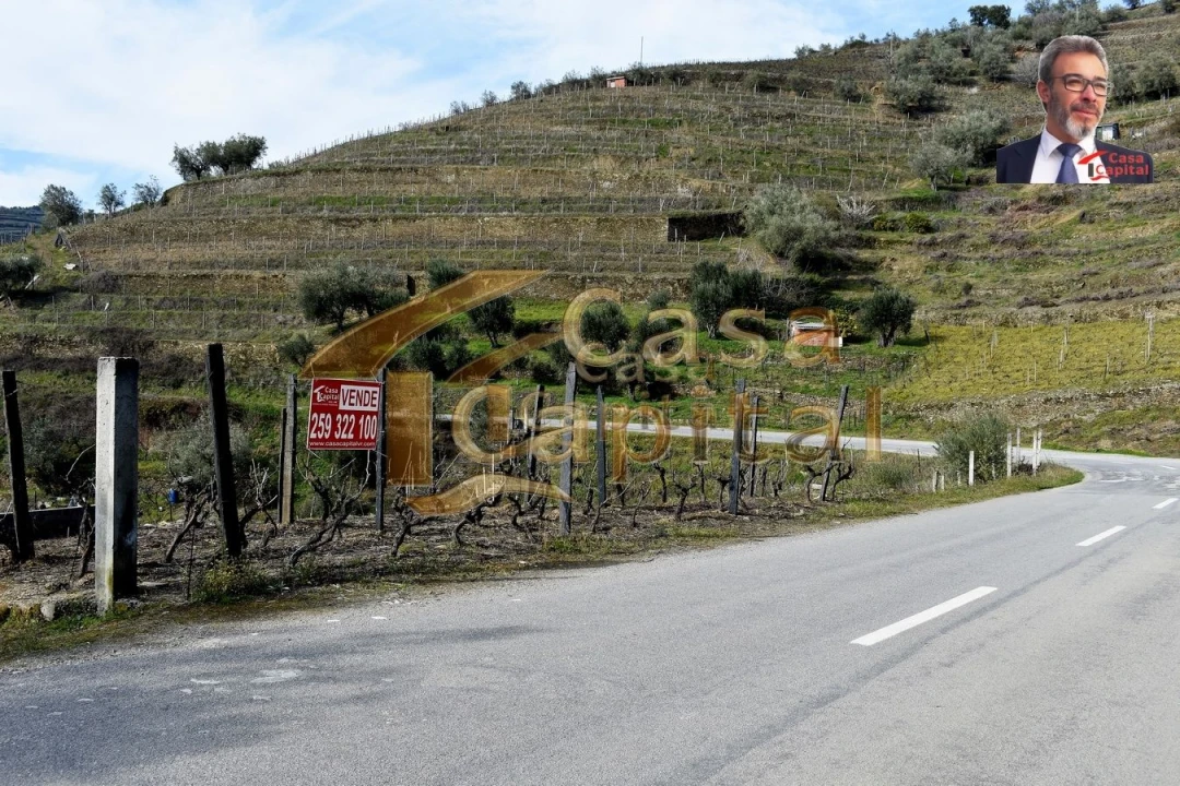 Terreno para Venda em Nogueira e Ermida Foto 3