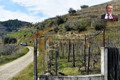 Terreno para Venda em Nogueira e Ermida