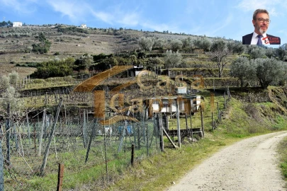 Terreno para Venda em Nogueira e Ermida