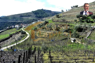 Terreno para Venda em Nogueira e Ermida