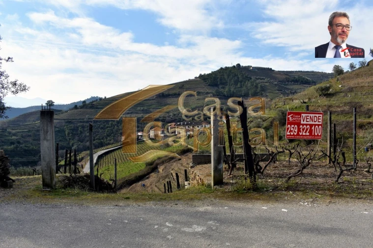 Terreno para Venda em Nogueira e Ermida Foto 4