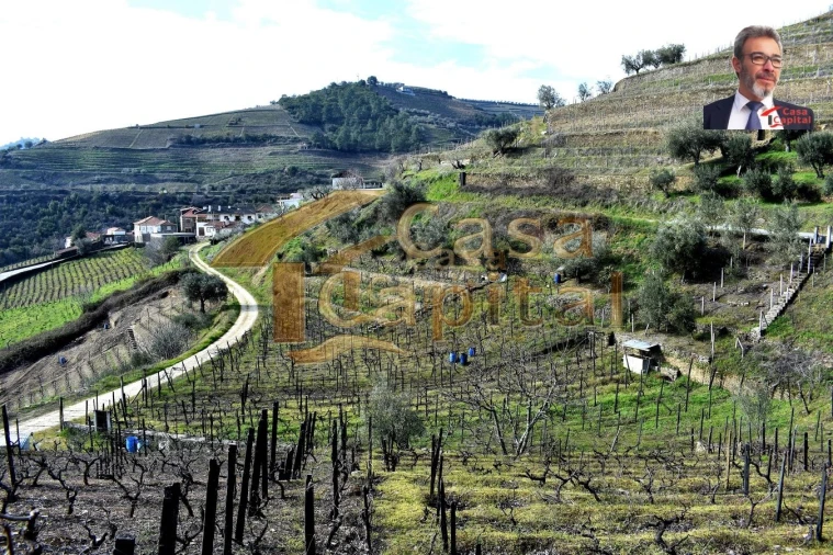 Terreno para Venda em Nogueira e Ermida Foto 5