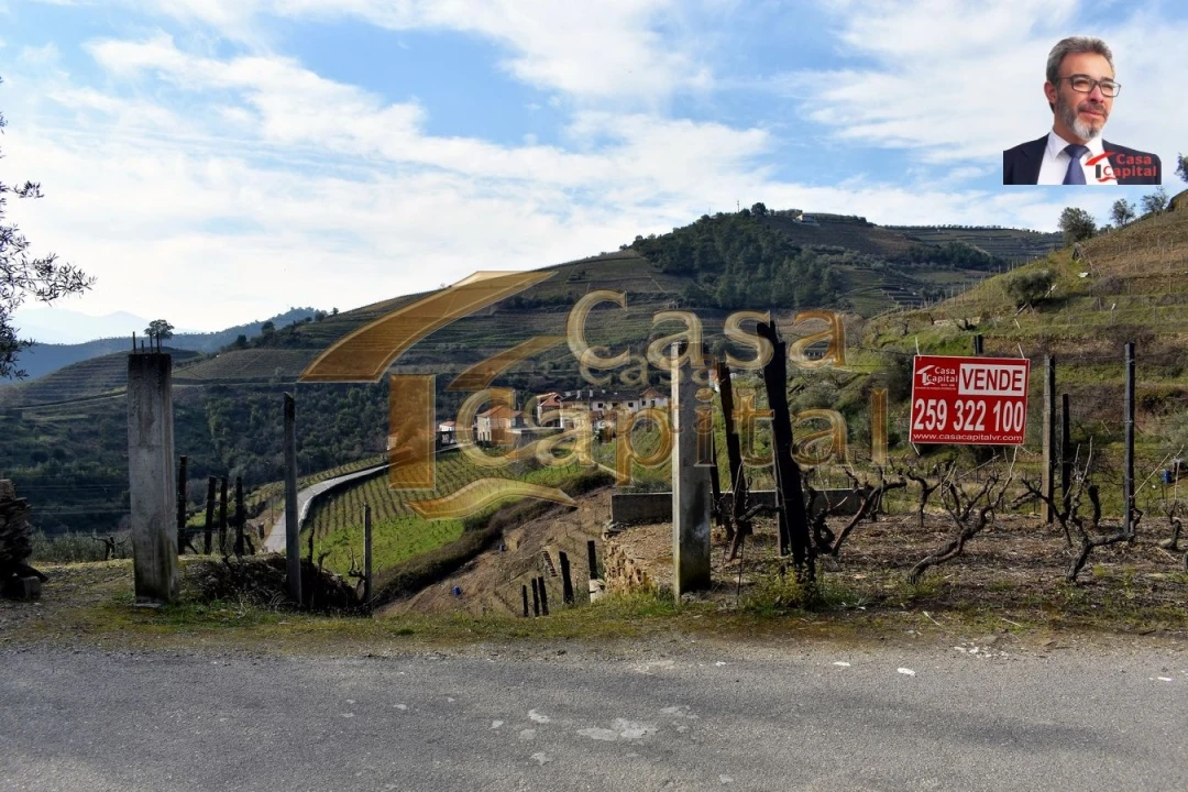 Terreno para Venda em Nogueira e Ermida Foto 4