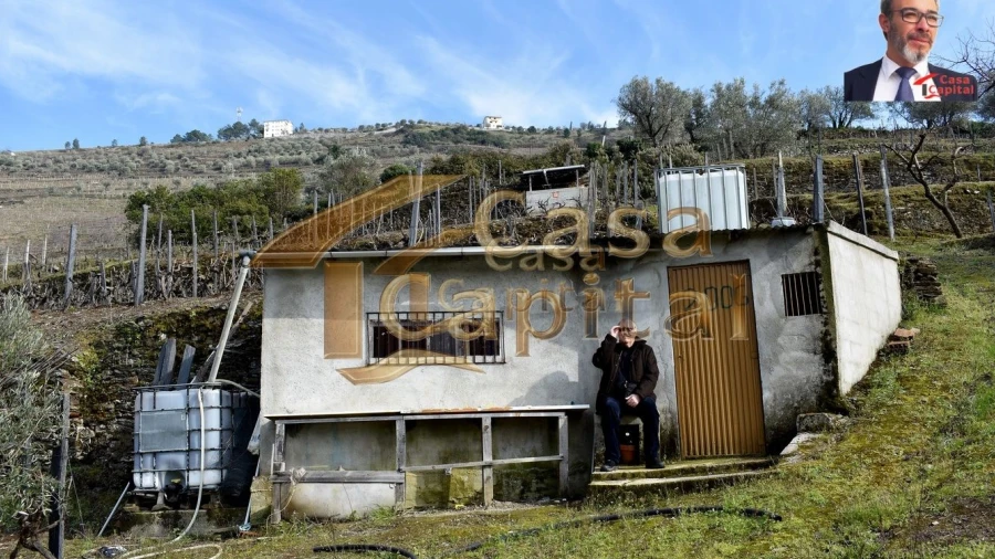 Terreno para Venda em Nogueira e Ermida