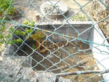 Terreno para Venda em Parada de Cunhos