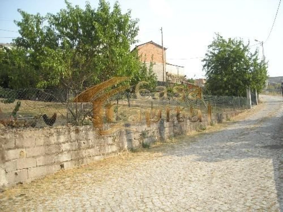 Terreno para Venda em Parada de Cunhos Foto 2
