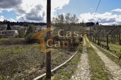 Terreno para Venda em Mateus