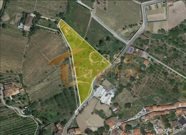 Terreno para Venda em Mateus