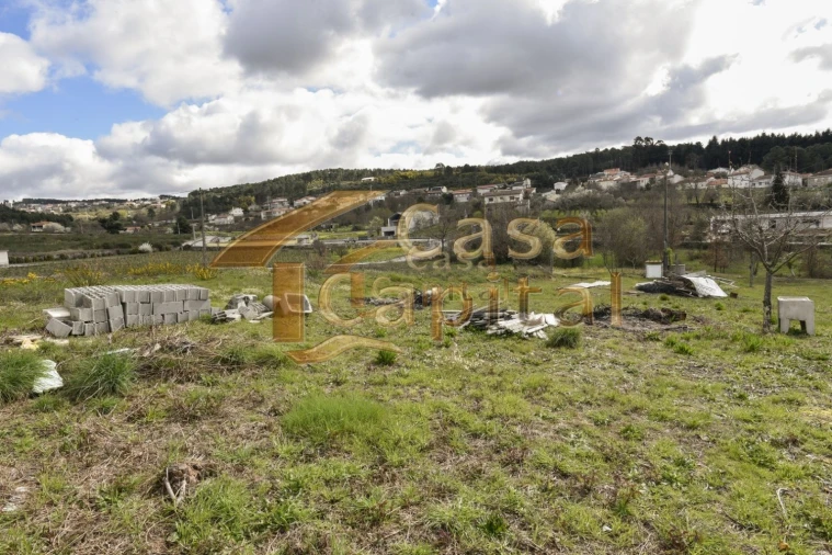 Terreno para Venda em Mateus Foto 14