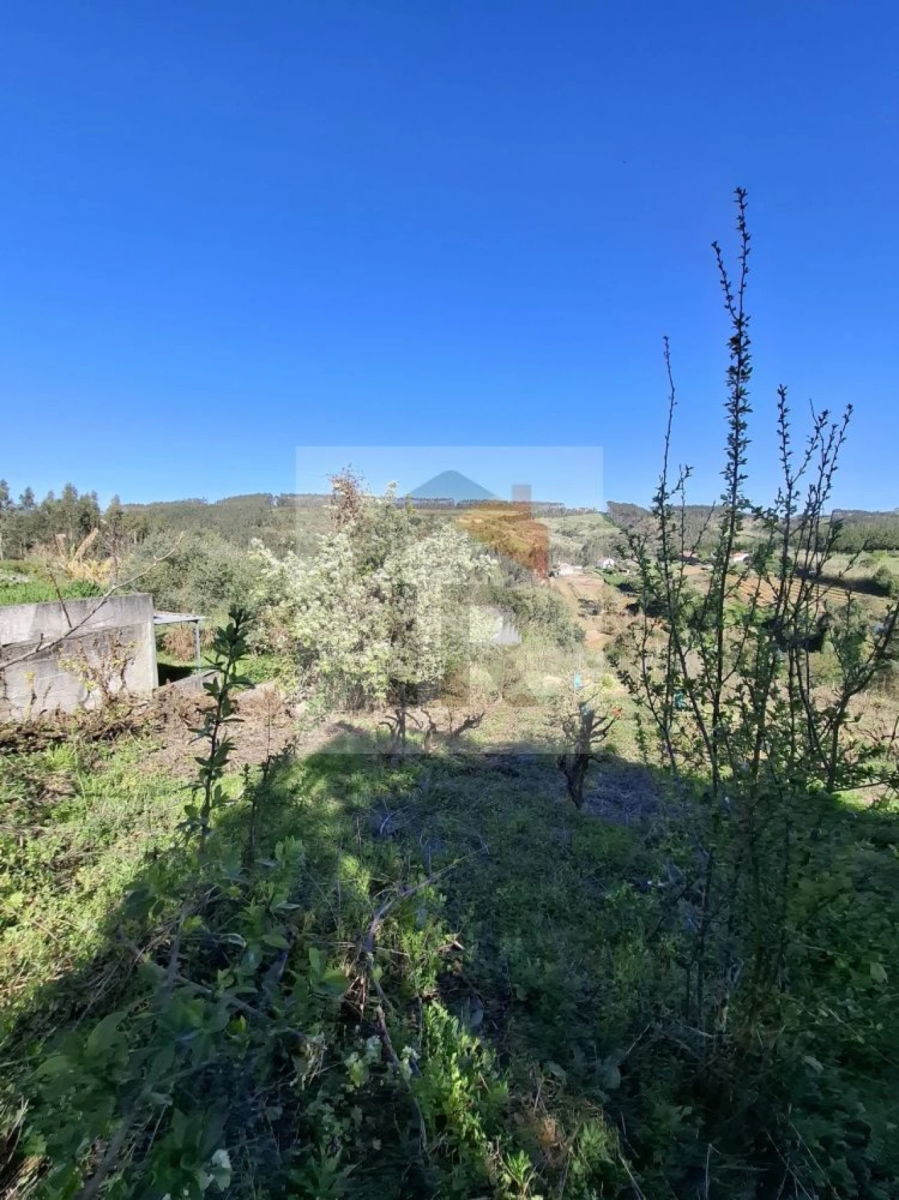 Moradia T2 para Venda em A dos Negros Foto 21