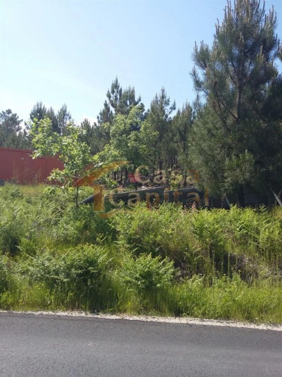 Terreno para Venda em Mouçós e Lamares Foto 2