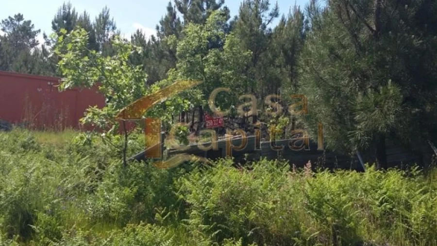 Terreno para Venda em Mouçós e Lamares