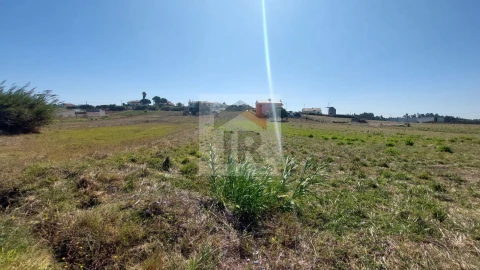Terreno para Venda em Tornada e Salir do Porto