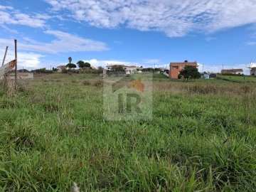 Terreno para Venda em Tornada e Salir do Porto