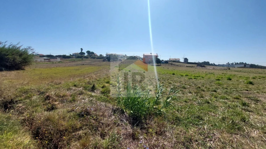 Terreno para Venda em Tornada e Salir do Porto Foto 6