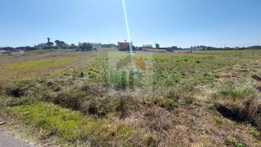 Terreno para Venda em Tornada e Salir do Porto Foto 5