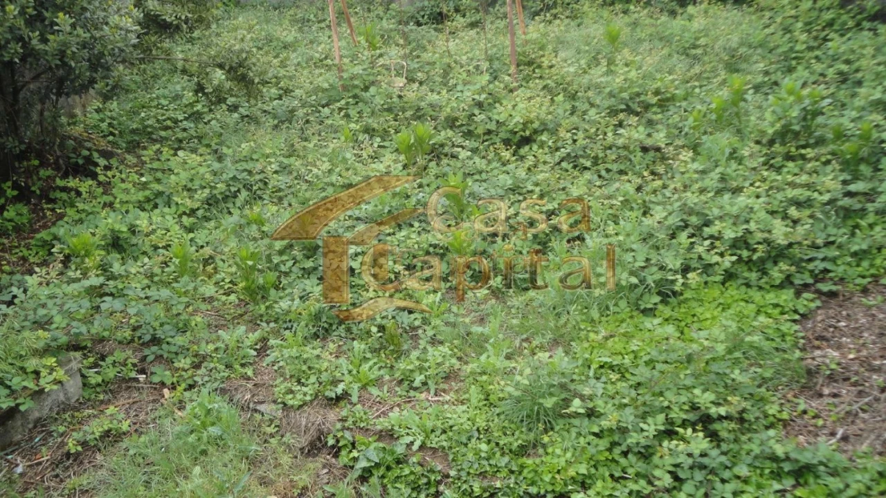 Moradia T5 para Venda em São Martinho de Antas e Paradela de Guiães Foto 26