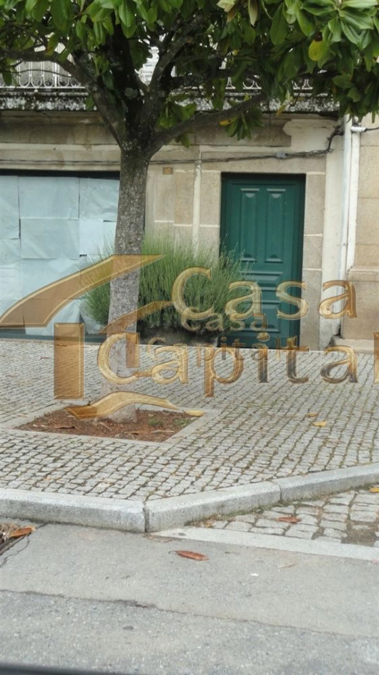 Moradia T5 para Venda em São Martinho de Antas e Paradela de Guiães Foto 54