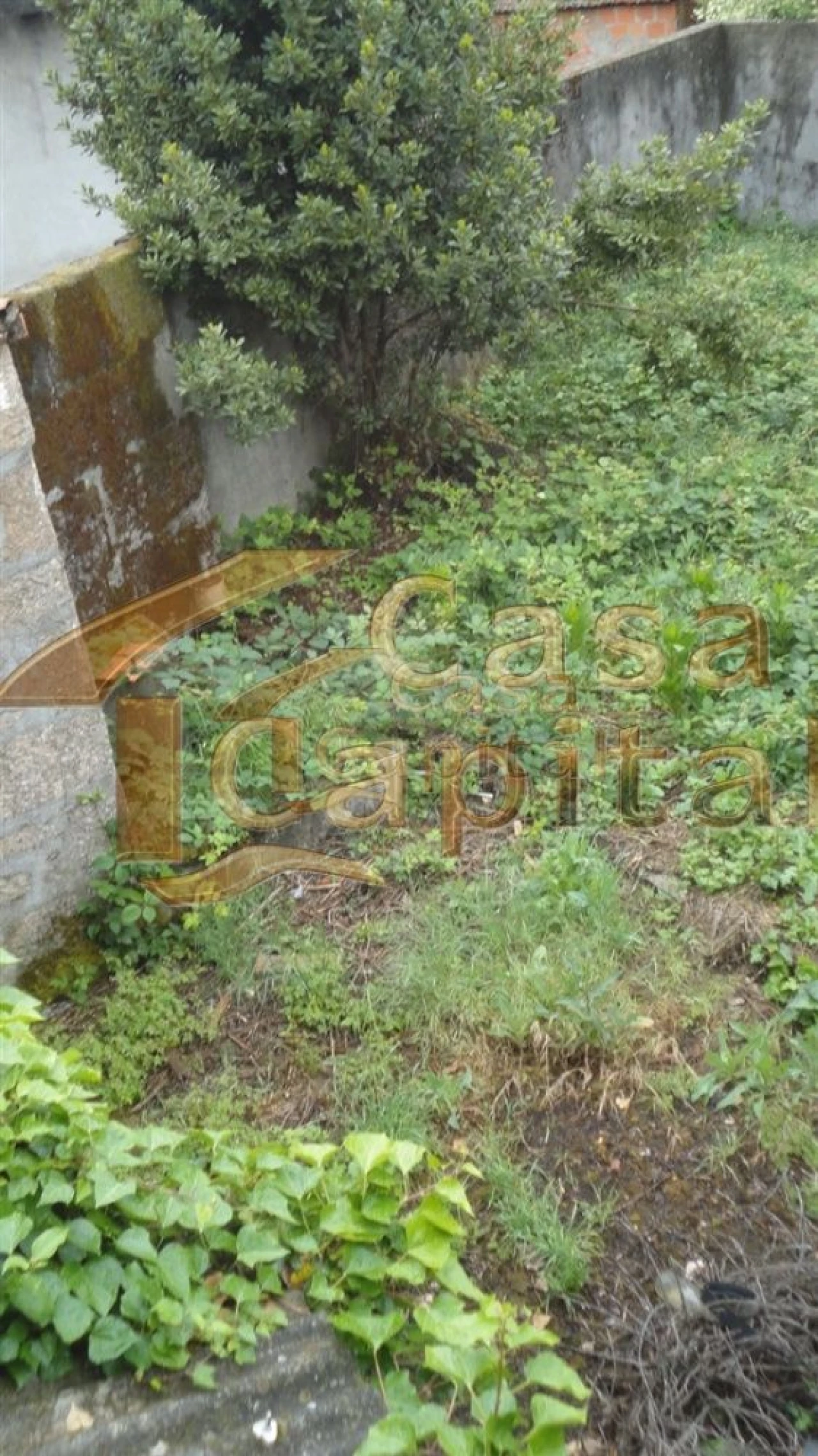 Moradia T5 para Venda em São Martinho de Antas e Paradela de Guiães Foto 58