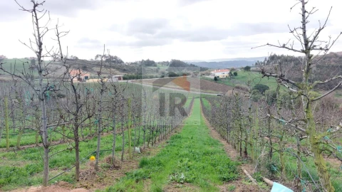 Terreno para Venda em Carvalhal Benfeito