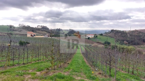Terreno para Venda em Carvalhal Benfeito