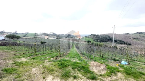 Terreno para Venda em Carvalhal Benfeito
