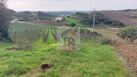 Terreno para Venda em Carvalhal Benfeito