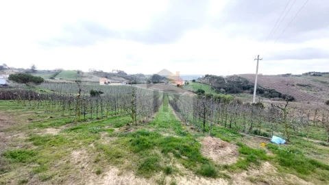 Terreno para Venda em Carvalhal Benfeito