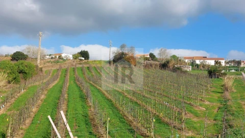 Terreno para Venda em Carvalhal Benfeito