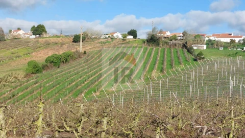 Terreno para Venda em Carvalhal Benfeito