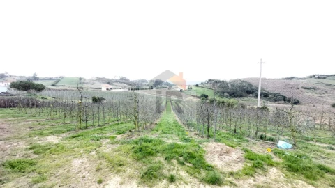 Terreno para Venda em Carvalhal Benfeito