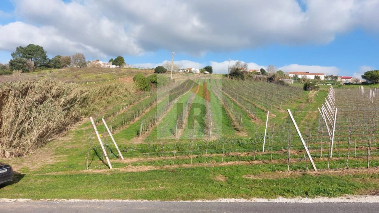 Terreno para Venda em Carvalhal Benfeito Foto 7