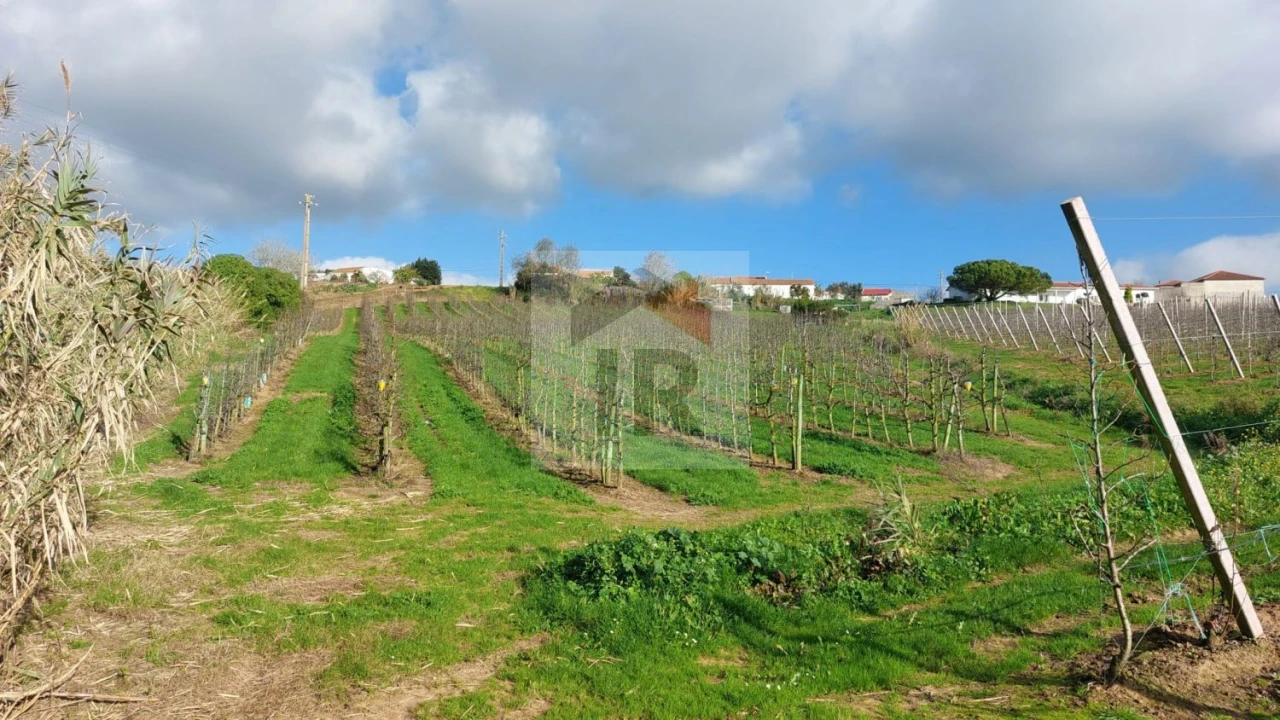 Terreno para Venda em Carvalhal Benfeito Foto 4