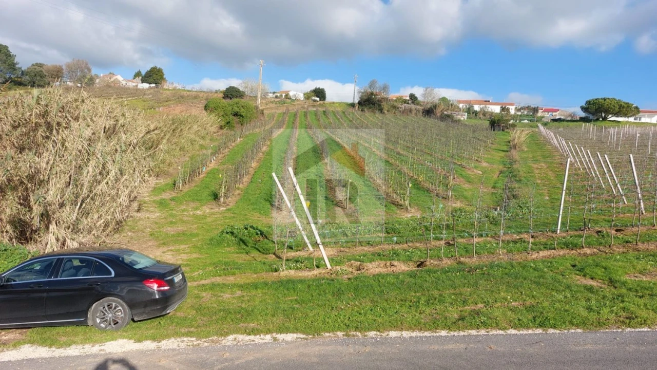 Terreno para Venda em Carvalhal Benfeito Foto 6
