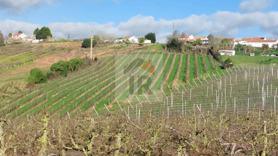 Terreno para Venda em Carvalhal Benfeito