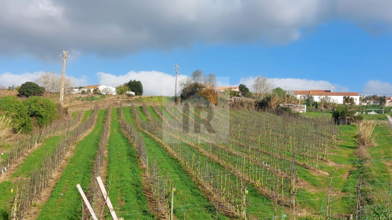 Terreno para Venda em Carvalhal Benfeito Foto 5