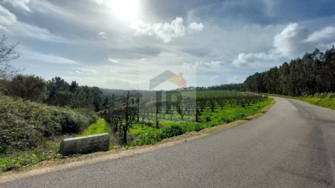 Terreno para Venda em Salir de Matos