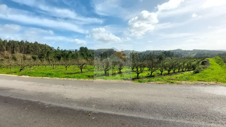 Terreno para Venda em Salir de Matos Foto 3
