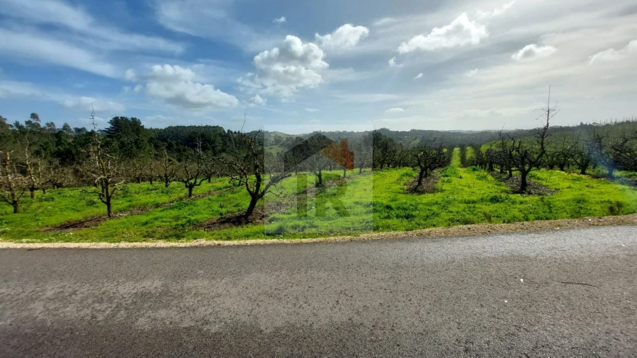 Terreno para Venda em Salir de Matos Foto 2