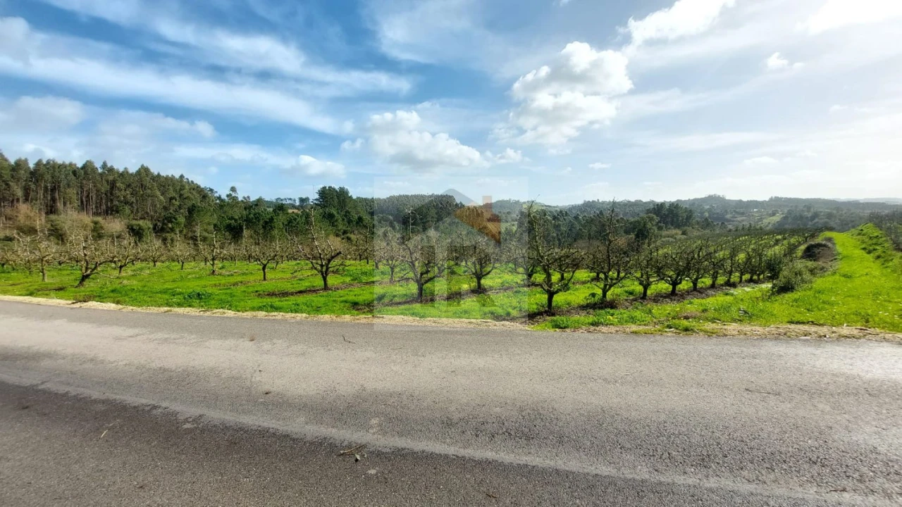 Terreno para Venda em Salir de Matos Foto 3