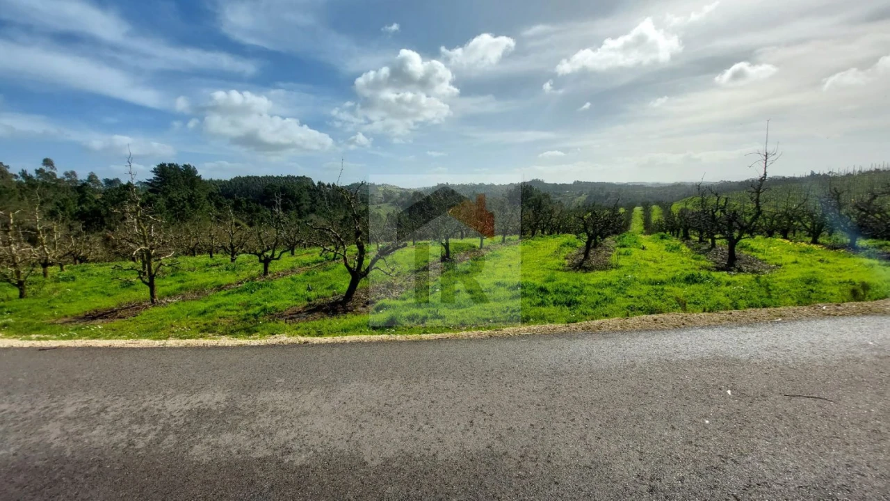 Terreno para Venda em Salir de Matos Foto 2