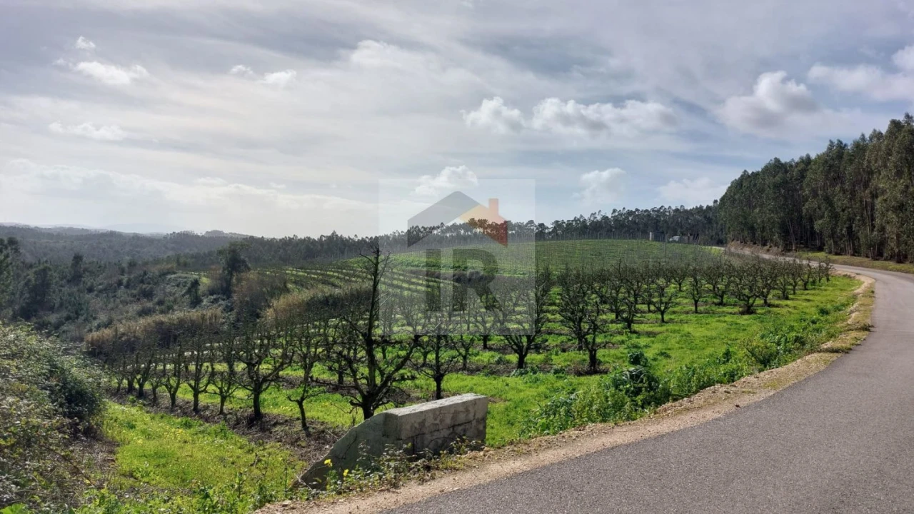 Terreno para Venda em Salir de Matos Foto 8