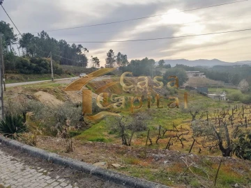 Terreno para Venda em Folhadela